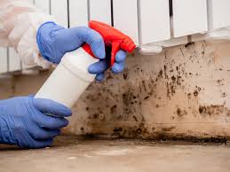 Reliable Littlefield, TX Mold Prevention & Removal  Solutions